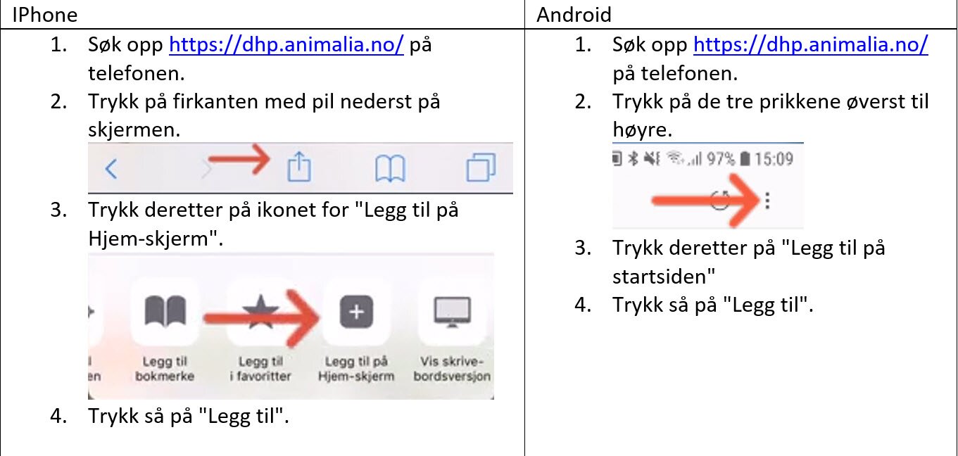 dhp hjem.jpg