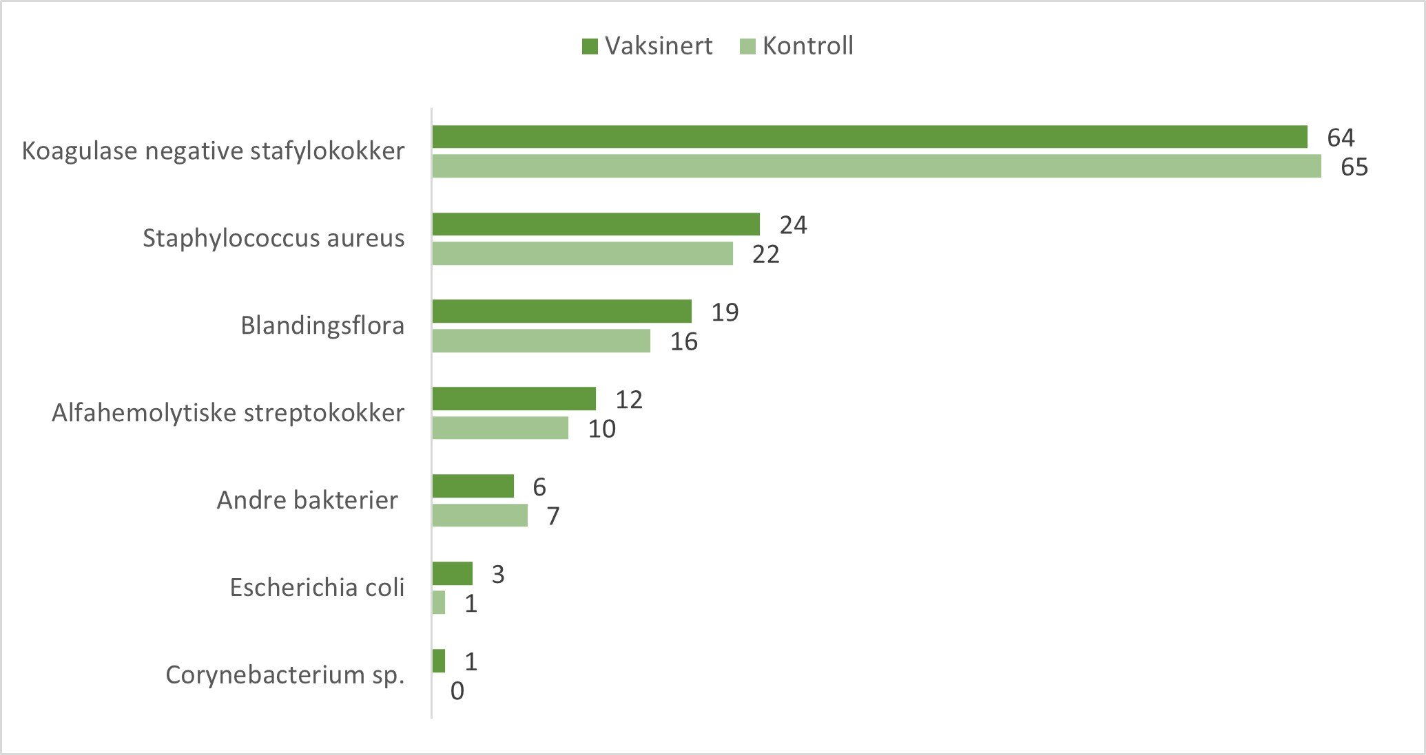 Figur 1. Det totale antall jurkjertler (N=250) med bakteriefunn i melkeprøver fra vaksinert gruppe og uvaksinert kontrollgruppe på våren. Antall positive prøver med den aktuelle bakterien er angitt som tall til høyre for stolpen i figuren.