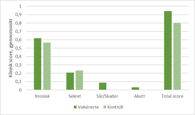 Figur 2. Oversikt over gjennomsnittlig klinisk scoring om høsten fra jurkjertler hvor S. aureus ble isolert (n=34 vaksinerte, n=30 kontroll). Den kliniske scoringen er fordelt på de ulike kategoriene som ble vurdert, samt gjennomsnittlig total klinisk score.